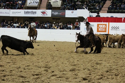 Tarin & He Bea Cat 2012 NCHA Futurity Co-Champions